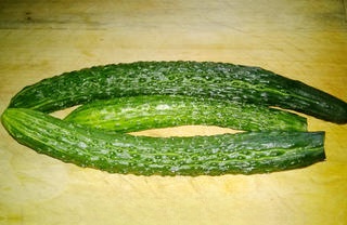 Pickled Cucumbers: Success After Three Improvements