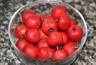Simple 4 Steps - Hawthorn Jam