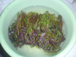 Pickled Chinese toon