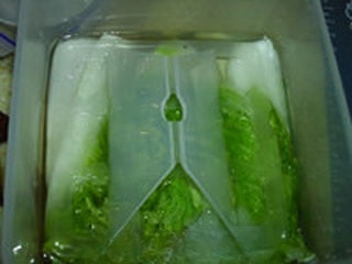 Step image