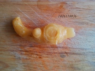 Step image