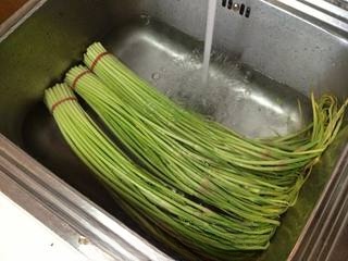 Rice Killer Pickled Garlic Stems