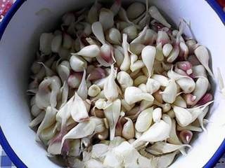 Sweet and Sour Garlic