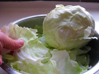 Rich Sesame Aroma -- Golden Kimchi Cabbage