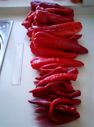 Chili Sauce (Revised Version)