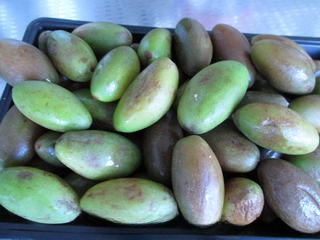 Salted olives