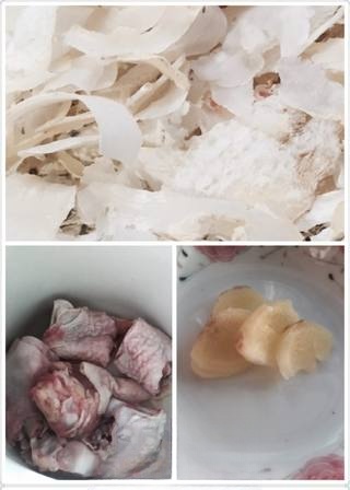 Gastrodia and Chicken Soup