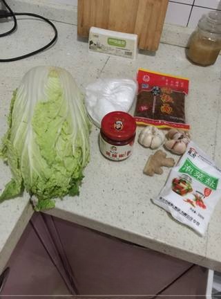 Fresh and Spicy Napa Cabbage