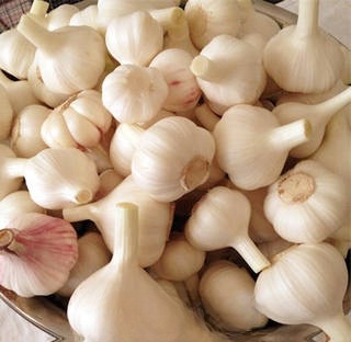 Pickled Candied Garlic