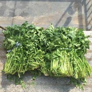 Dried bamboo shoots and vegetables