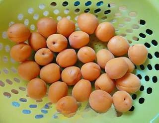 Homemade Apricot Jam