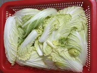 Homemade Winter Vegetables
