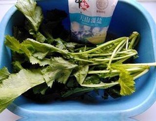 Homemade Snow Mustard Pickles