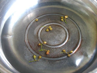 Step image