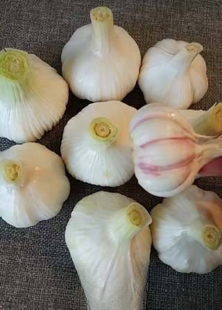 Homemade Sweet Garlic Exclusive