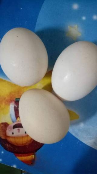 Red Date Egg Custard