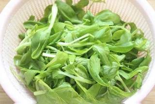 Mao Vegetable and Pumpkin Dumplings First Release