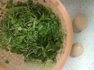 Exclusive Chicken Feather Vegetable and Egg Soup