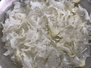 Cranberry Peach Gum Snow Fungus Soup