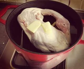 Carrot Duck Soup
