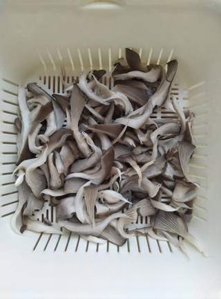 Mushroom Egg Soup