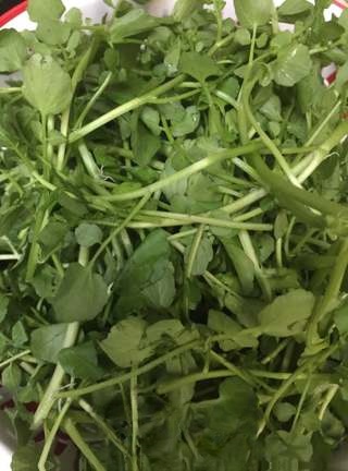 Exclusive Fresh Watercress Soup