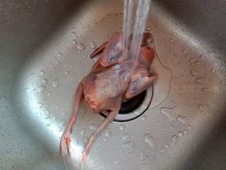 Clear Stewed Pigeon Soup