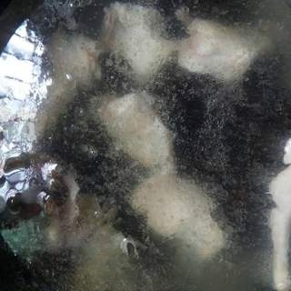 Step image