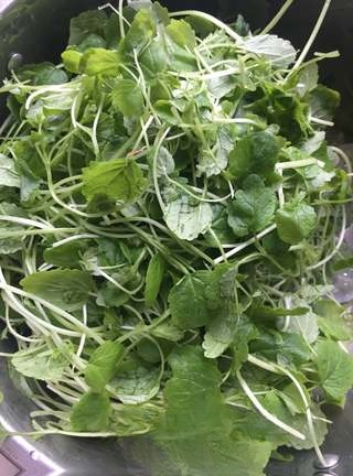 Happy New Year - Exclusive Motherwort Egg Soup
