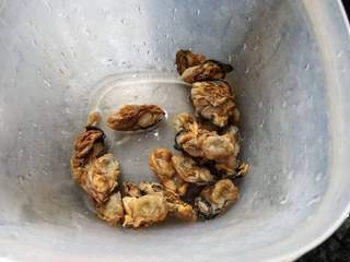 Hair Moss and Dried Oyster Soup