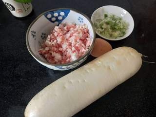 Shredded Radish and Meatball Soup First Release