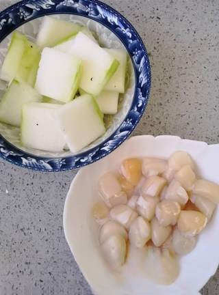 Winter Melon Senbei Soup Debut
