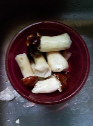 Matsutake Mushroom Beef Soup