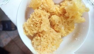 Rock Sugar Stewed Red Dates with White Fungus
