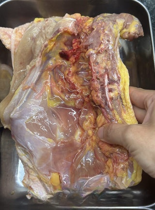 Exclusive White Cut Chicken