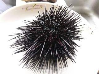 Steamed Egg with Sea Urchin