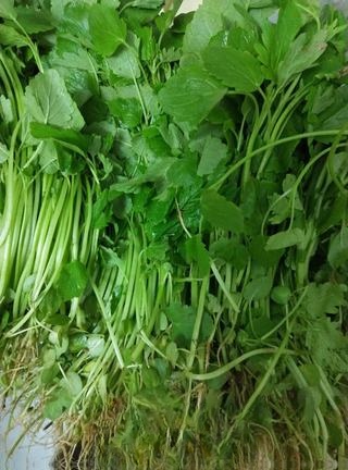Motherwort Egg Soup Exclusive