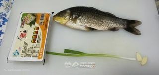Crucian Carp and Tofu Soup — Nutritious Delicacy