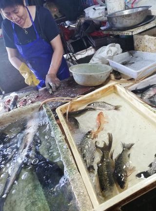 Crucian Carp, Shiitake Mushroom, and Tofu Soup