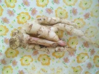 galangal