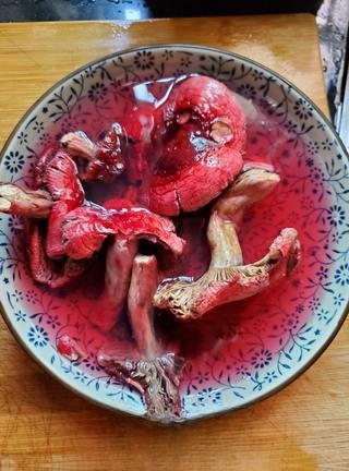 Red Mushroom Pigeon Soup