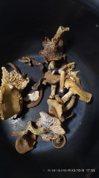 Mixed Mushroom Soup