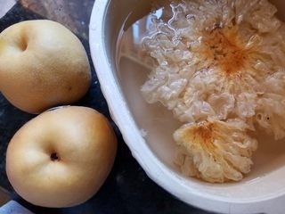 Double Snow Pork Bone Soup