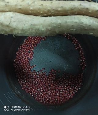 Exclusive Red Bean and Yam Soup