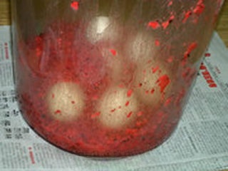 Step image