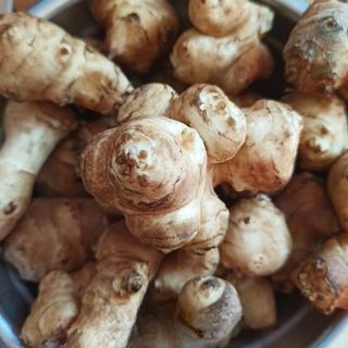 First release of pickled Jerusalem artichoke