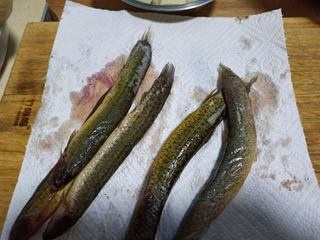 Exclusive Loach and Frozen Tofu Soup