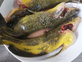 Fancy Exquisite Light Meal: Yellow Croaker Fresh Soup
