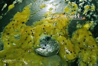 Step image