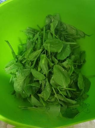 Exclusive Pea Shoot and Egg Soup